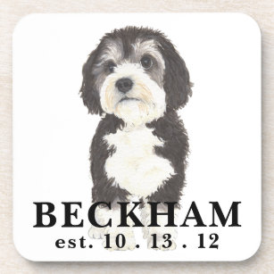 Sheepadoodle gifts 2024