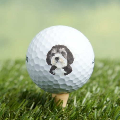 Personalized Bernedoodle Beverage Coaster Golf Balls