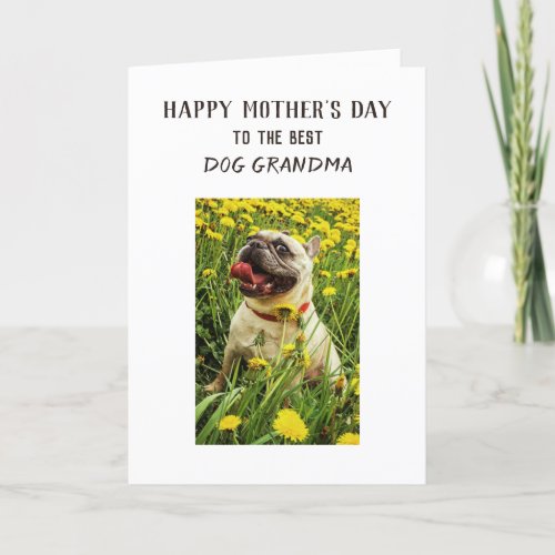 Personalized Best Dog Grandma Funny Mothers Day Holiday Card