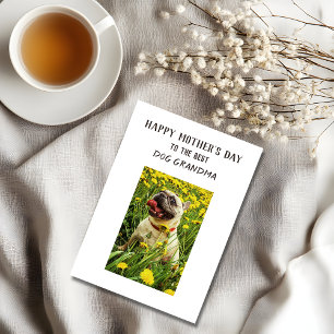 Personalized Best Dog Grandma Funny Mother's Day Holiday Card