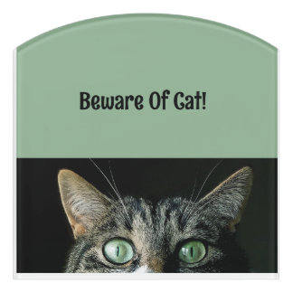 Personalized Beware Of Cat Green Sign