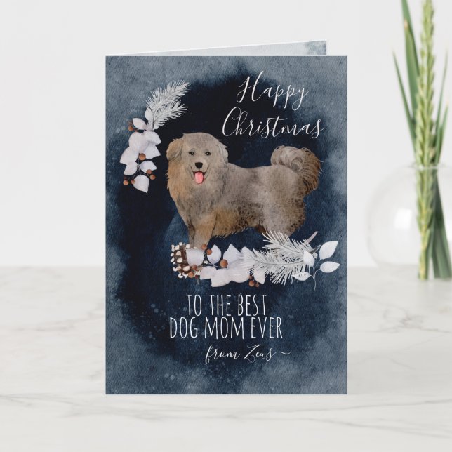 Personalized Big Fluffy Dog Bakharwal Christmas Holiday Card (Front)