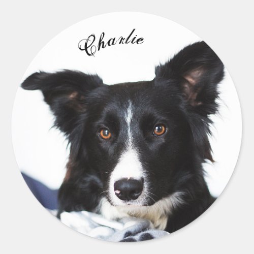 Personalized Black and White Border Collie Classic Round Sticker