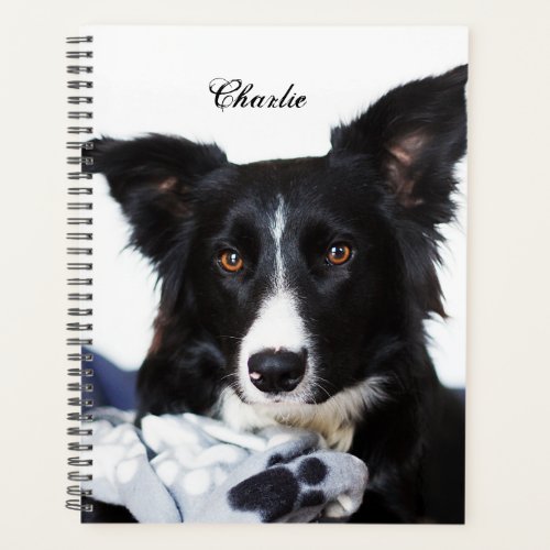 Personalized Black and White Border Collie Planner