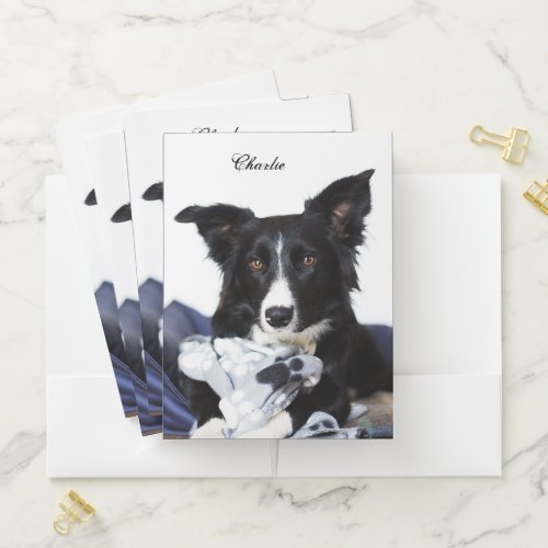 Personalized Black and White Border Collie Pocket Folder