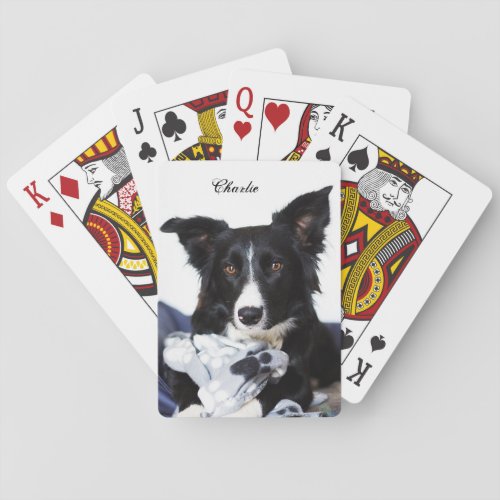 Personalized Black and White Border Collie Poker Cards