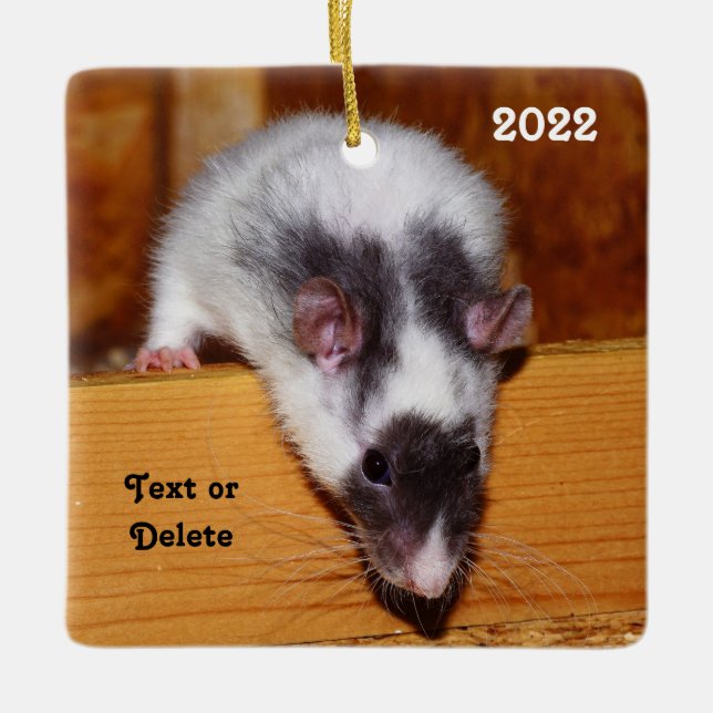 Personalized Black and White Masked Pet Rat Ceramic Ornament (Front)