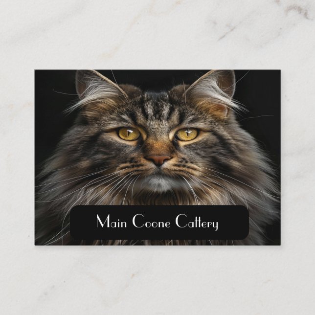 Personalized Black Business Card for Cattery (Front)