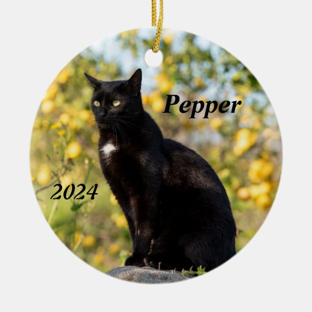 Personalized Black Cat Ceramic Ornament (Front)
