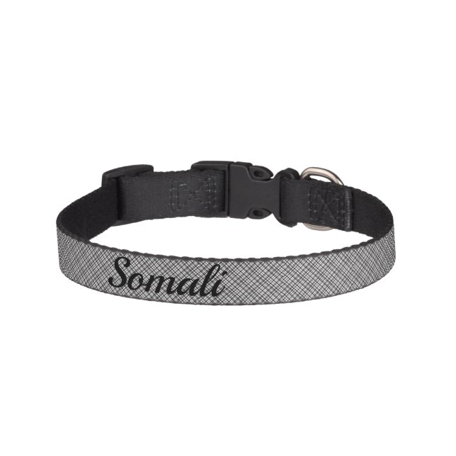 Personalized Black Dog Collar (Front)