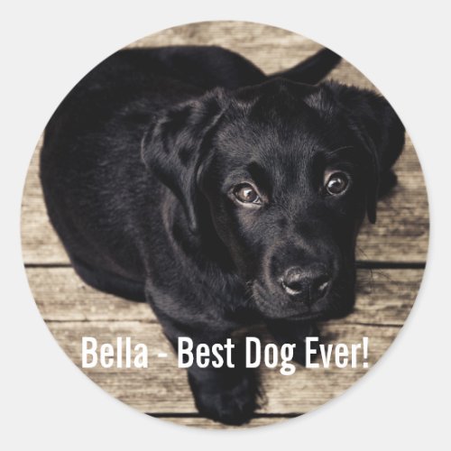 Personalized Black Lab Dog Photo and Dog Name Classic Round Sticker