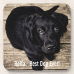 Personalized Black Lab Dog Photo and Dog Name Coaster<br><div class="desc">Personalize this keepsake with your dog's or puppy's photo and name (or other pet or person's photo/name). Text reads "Best Dog Ever" or add your own text - We love Bella (dog's name), dog's birthday or day of passing. Just click on "customize" to add your personalized text, change the font...</div>