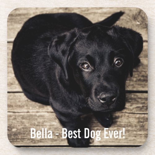 Personalized Black Lab Dog Photo and Dog Name Coaster