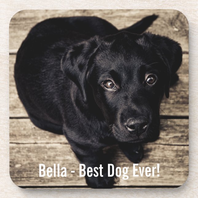 Personalized Black Lab Dog Photo and Dog Name Coaster (Front)