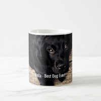 Personalized Black Lab Dog Photo and Dog Name