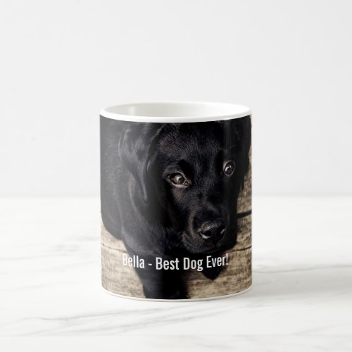 Personalized Black Lab Dog Photo and Dog Name Coffee Mug