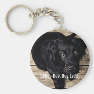 AD-L86DA2K Personalised Name Black Labrador Photo Keyring Animal Gift 