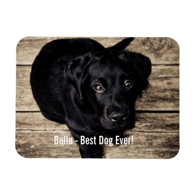 Personalized Black Lab Dog Photo and Dog Name Magnet (Horizontal)