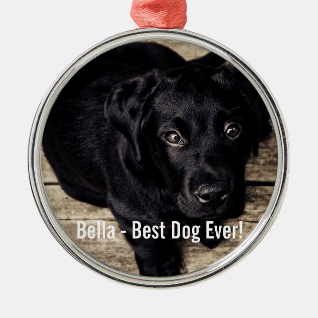 Personalized Black Lab Dog Photo and Dog Name Metal Ornament (Front)