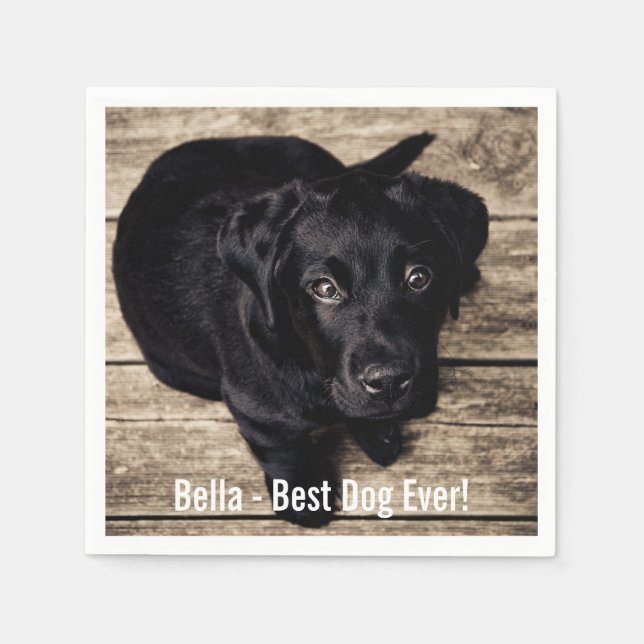 Personalized Black Lab Dog Photo and Dog Name Paper Napkins (Front)