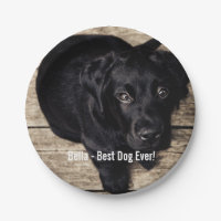 Personalized Black Lab Dog Photo and Dog Name