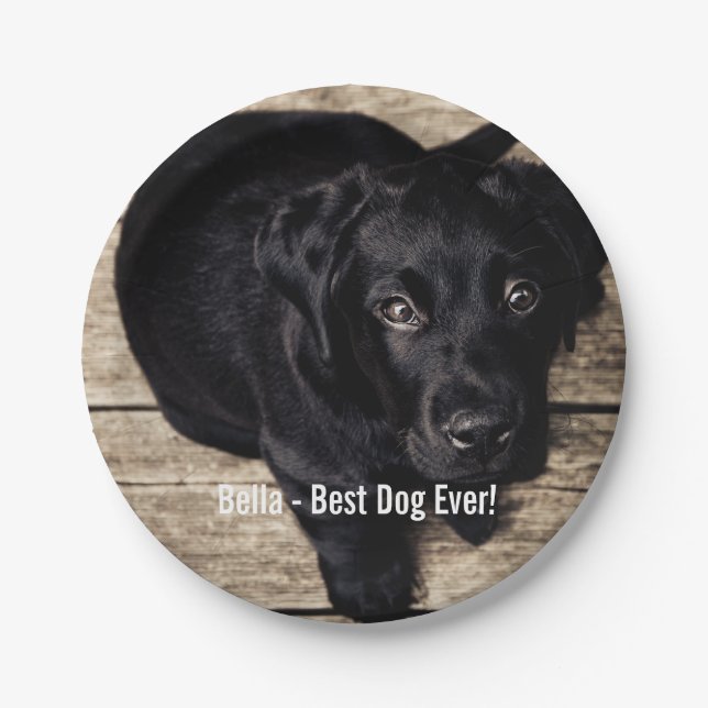 Personalized Black Lab Dog Photo and Dog Name Paper Plates (Front)