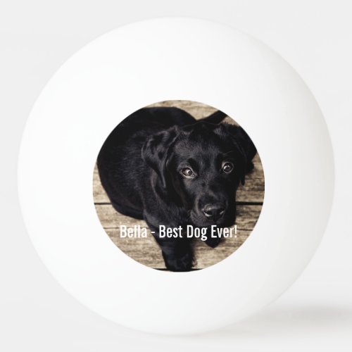 Personalized Black Lab Dog Photo and Dog Name Ping_Pong Ball