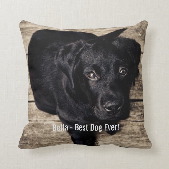 lab dog pillow