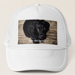 Black Lab Hats & Caps | Zazzle