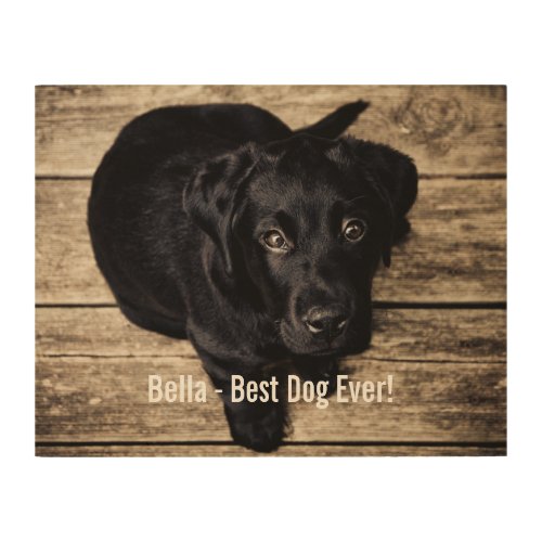 Personalized Black Lab Dog Photo and Dog Name Wood Wall Art