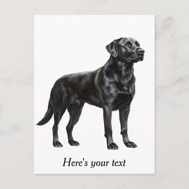 Personalized Black Labrador Retriever Decor Postcard (Front)