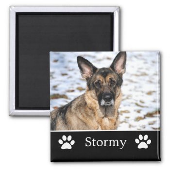 Personalized Black Pet Photo Magnet by AllyJCat at Zazzle