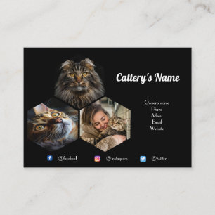 Personalized Black Photo Collage Cattery Business Card