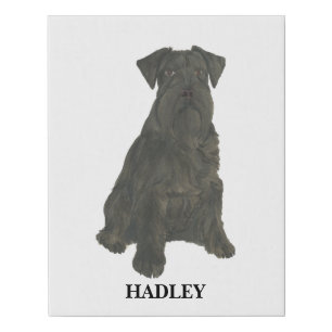 Personalized Black Schnauzer Faux Canvas Print