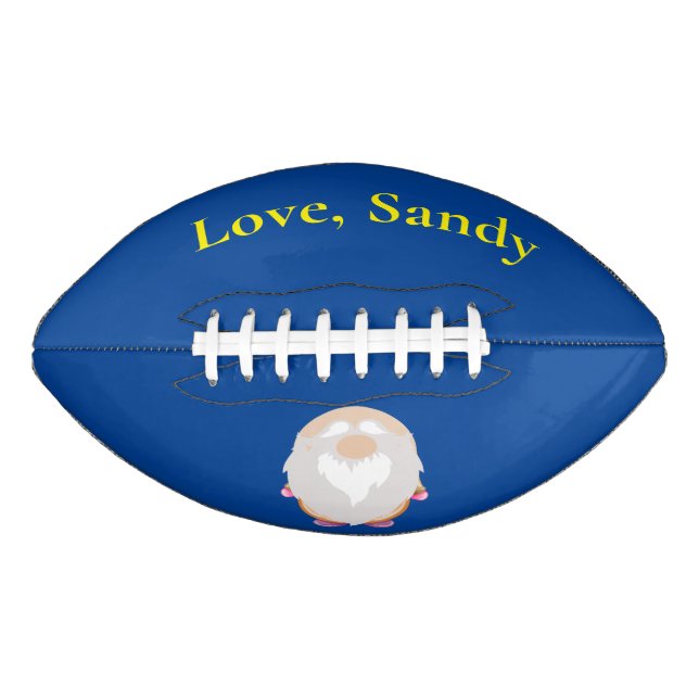 Personalized. Blue and Yellow Gnome   Football (Front)