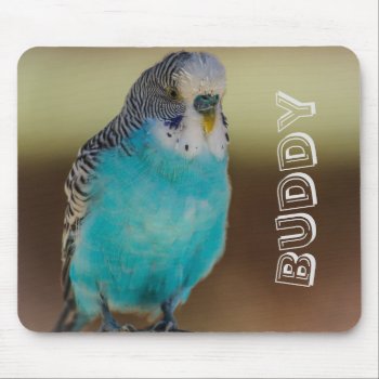 Personalized Blue Budgie Mousepad by Tissling at Zazzle