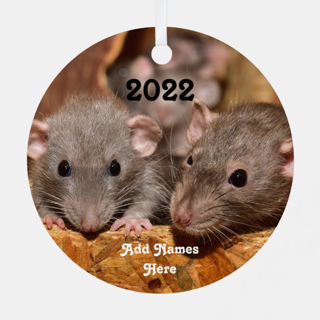 Personalized Blue Grey Dumbo Pet Rats Metal Ornament (Back)