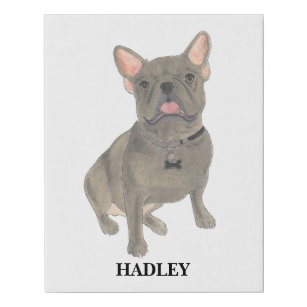 Personalized Blue Grey Frenchie French Bulldog Faux Canvas Print