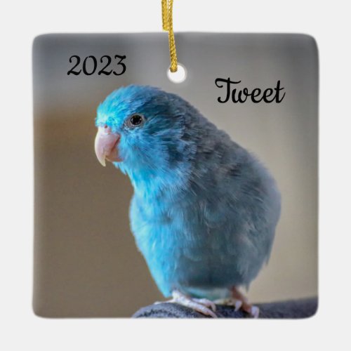 Personalized Blue Parrotlet Bird Ceramic Ornament