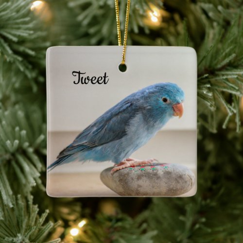 Personalized Blue Parrotlet Bird Ceramic Ornament