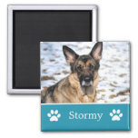 Personalized Blue Pet Photo Magnet at Zazzle