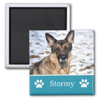 Personalized Blue Pet Photo Magnet by AllyJCat at Zazzle