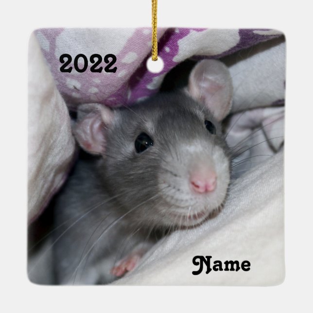 Personalized Blue Pet Rat Ceramic Ornament (Back)