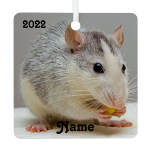 Personalized Blue Roan Pet Rat Ceramic Ornament