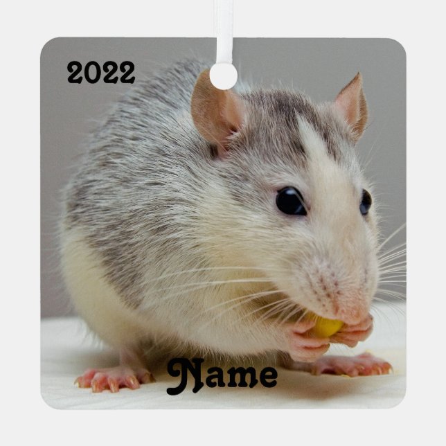 Personalized Blue Roan Pet Rat Ceramic Ornament (Back)