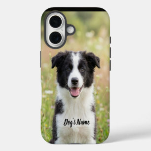 Personalized Border Collie Photo and Name iPhone 16 Case