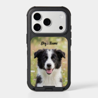 Personalized Border Collie Photo and Name  iPhone 17 Pro Case