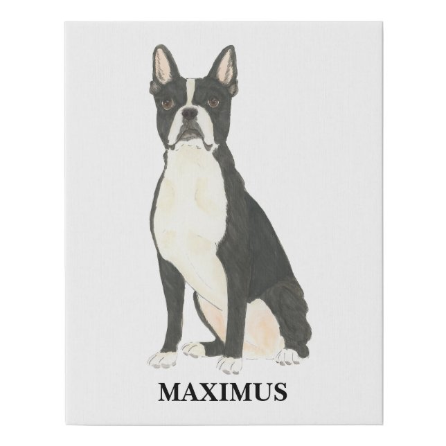 Personalized Boston Terrier Beverage Coaster Faux Canvas Print (Front)