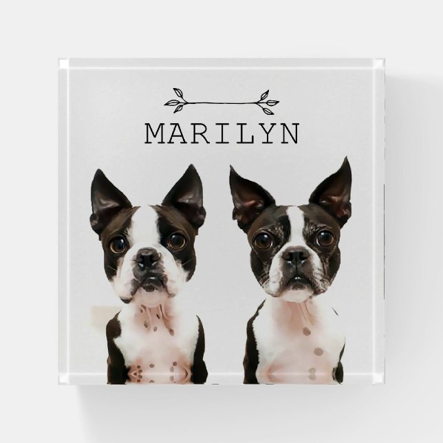 Personalized Boston Terrier | Cute Bostons Dogs Paperweight (Front)