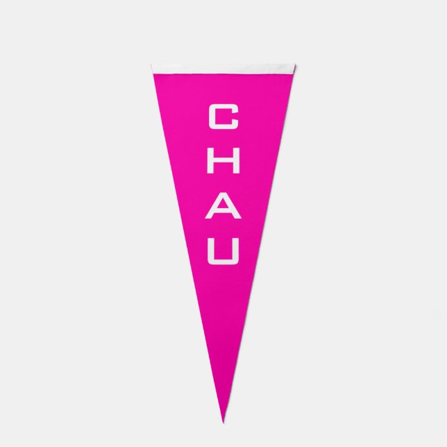 Personalized Bowling Champion 4-Letter Last Name  Pennant Flag (Front)